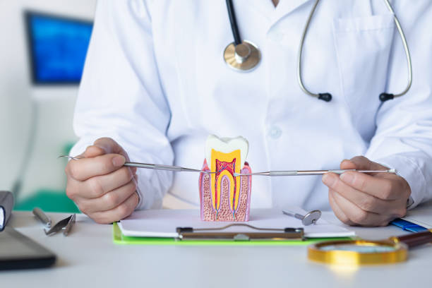 Best Pediatric Emergency Dentist in Frankston, TX